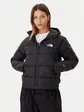 Куртка W HYALITE DOWN HOODIE THE NORTH FACE M Чорний