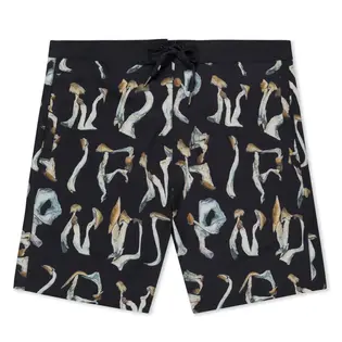 Шорти Ripndip IS THIS REAL LIFE SWIM SHORTS