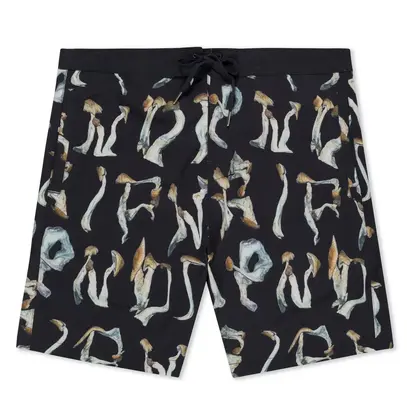 Шорти Ripndip IS THIS REAL LIFE SWIM SHORTS