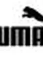 Кросівки Puma Desierto Fun