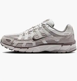 Кросівки Nike W P-6000