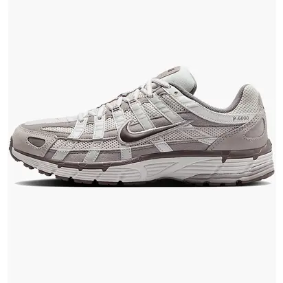 Кросівки Nike W P-6000