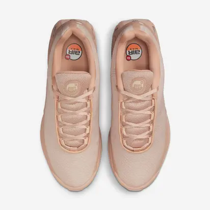 Кросівки Nike W Air Max DN ISA