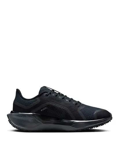 Кросівки Nike Pegasus 41 GORE-TEX Waterproof Road Running