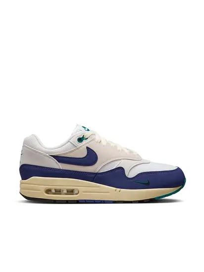 Кросівки Nike Air Max 1 