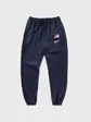 Штани Nike Team USA Therma Flex Showtime