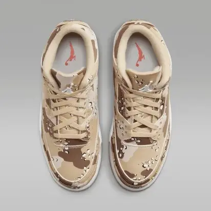 Кросівки Jordan 3 Retro WNBA Desert Camo (W)