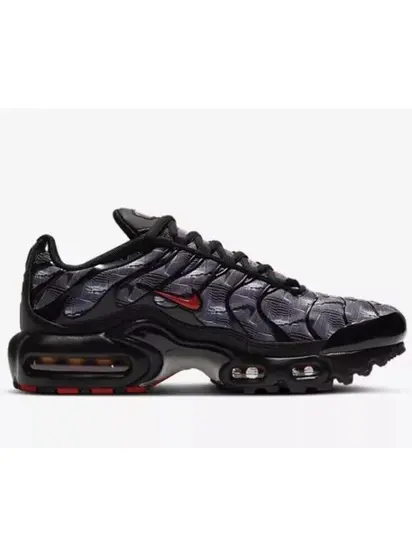 Кросівки Nike Air Max Plus GS
