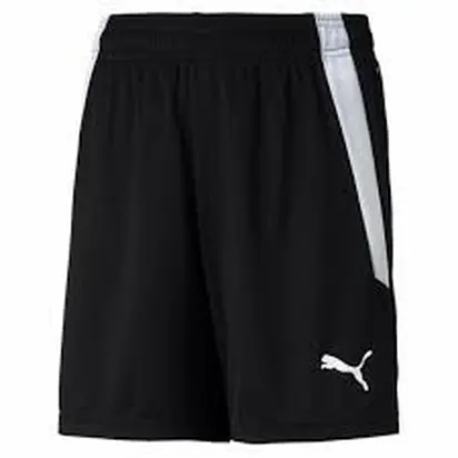 Шорти жіночі Puma Teamliga Shorts W Black , Цвет Чёрный, Размер (Европа) - L