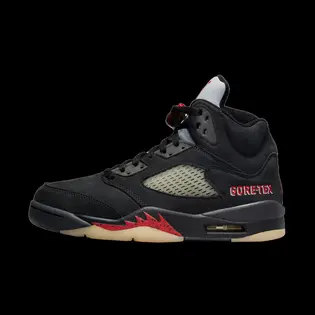 Кросівки Jordan 5 Retro Gore-Tex Off-Noir (W)