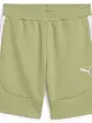 Шорти Puma teamEVOSTRIPE Shorts