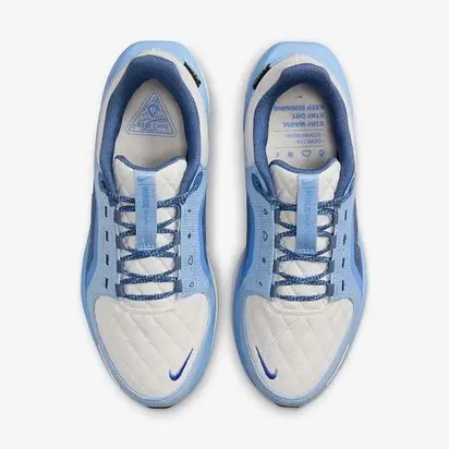 Кросівки Nike W AIR WINFLO 11 GTX