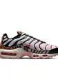 Кросівки Nike WMNS AIR MAX PLUS