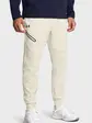 Штани UA Unstoppable Flc Jgr EU Under Armour M Бежевий