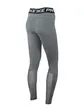 Лосини Nike 365 TIGHT, принт