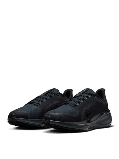Кросівки Nike Pegasus 41 GORE-TEX Waterproof Road Running