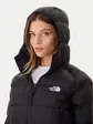 Куртка W HYALITE DOWN HOODIE THE NORTH FACE M Чорний