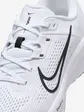 Кросівки Nike