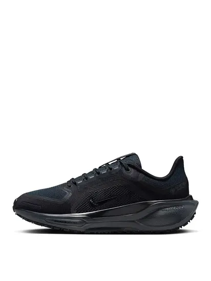 Кросівки Nike Pegasus 41 GORE-TEX Waterproof Road Running