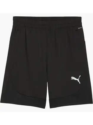 Шорти Puma teamFINAL Training Shorts