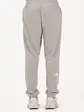 Штани M SIMPLE DOME LIGHT REGULAR TAPERED JOGG THE NORTH FACE L Сірий