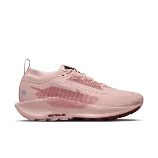 Кросівки Nike W PEGASUS TRAIL 5 GTX