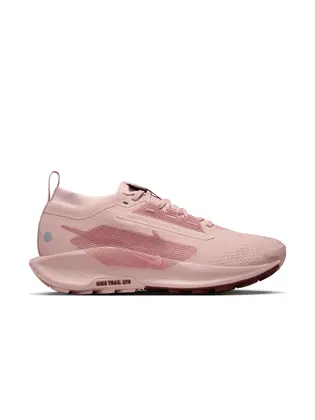Кросівки Nike W PEGASUS TRAIL 5 GTX