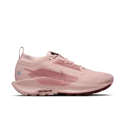 Кросівки Nike W PEGASUS TRAIL 5 GTX
