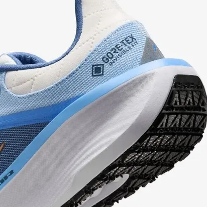 Кросівки Nike W AIR WINFLO 11 GTX