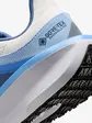 Кросівки Nike W AIR WINFLO 11 GTX