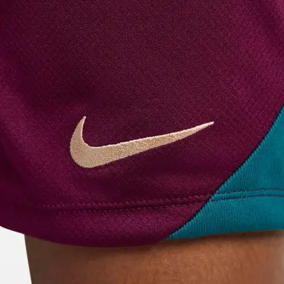Шорти Nike PSG 24/25 Strike