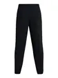 Штани спортивні UA Vibe Woven Jogger Under Armour L Чорний