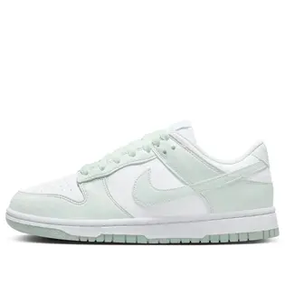 Кросівки Nike W DULOW NEXT NATURE
