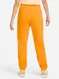 Штани Jordan Essentials Fleece Pants