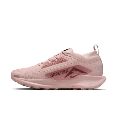 Кросівки Nike W PEGASUS TRAIL 5 GTX