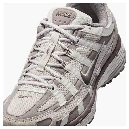 Кросівки Nike W P-6000