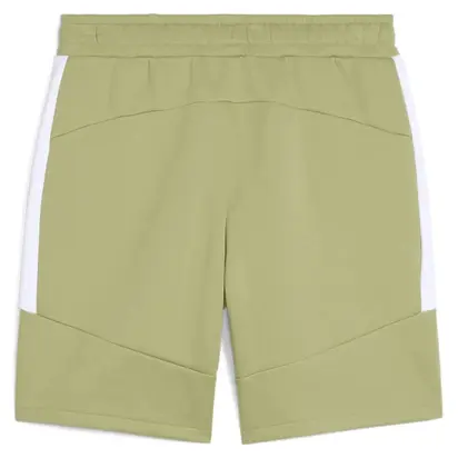 Шорти Puma teamEVOSTRIPE Shorts
