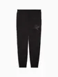 Штани спортивні ESS SCRIPT Sweatpants Puma M Чорний