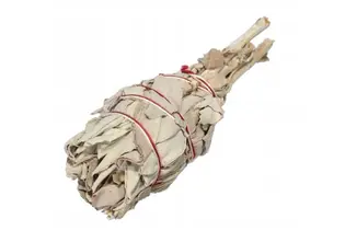 Біла шавлія White Sage для куріння (пучок на ніжці) 15-20 г