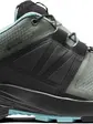 Кросівки Salomon XA WILD GTX W Green/Black/Meadowbrook, чорний