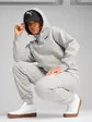 Штани ESS No. 1 Logo Sweatpants Puma L Сірий