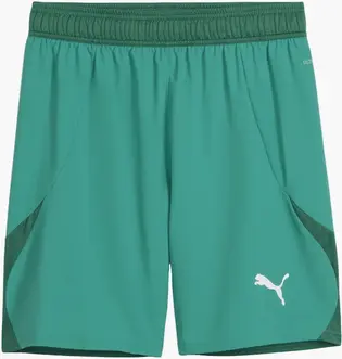 Шорти Puma teamFINAL Shorts