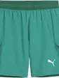 Шорти Puma teamFINAL Shorts