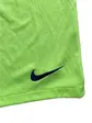 Шорти Nike Barcelona FC 2018/19 Away Football Soccer Volt Short
