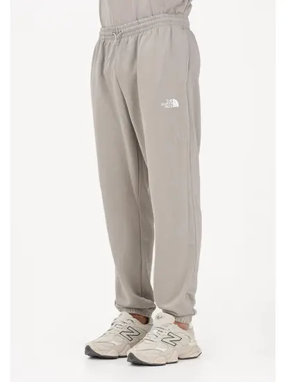 Штани M SIMPLE DOME LIGHT REGULAR TAPERED JOGG THE NORTH FACE L Сірий