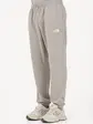 Штани M SIMPLE DOME LIGHT REGULAR TAPERED JOGG THE NORTH FACE L Сірий