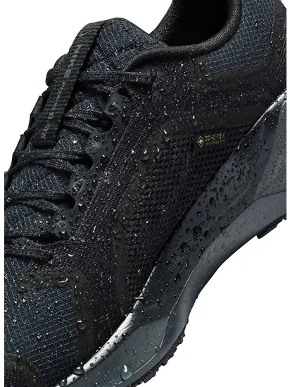 Кросівки Nike Pegasus 41 GORE-TEX Waterproof Road Running