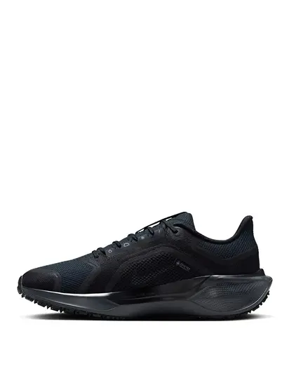 Кросівки Nike Pegasus 41 GORE-TEX Waterproof Road Running