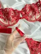 Спокусливий комплект жіночої нижньої білизни червоний (DO3352)