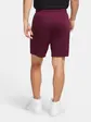 Шорти Jordan Paris Saint-Germain Shorts